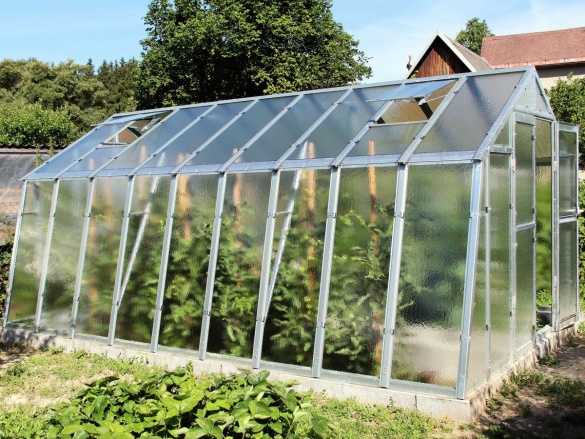 Skleník Limes Variant