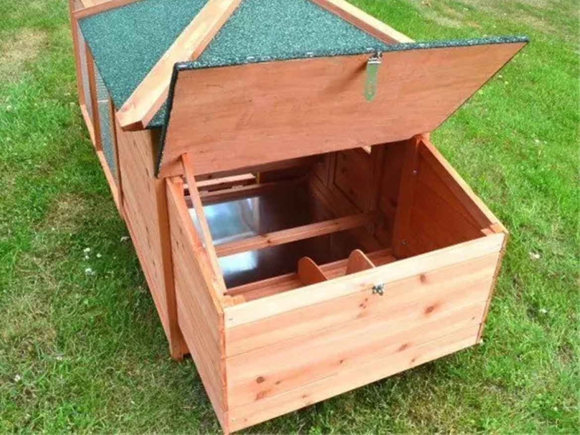 Tyúkól Scobax Sandy