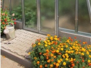 Zapuštění dveří ZDDÚ Ekogarden M