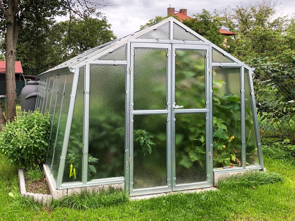 Skleník Limes Variant