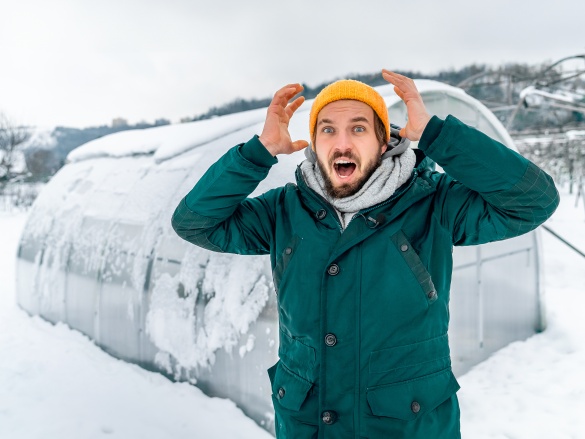 Čo robiť so skleníkom, keď napadne sneh?