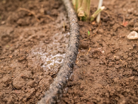 Zavlažovací hadice Bradas Aqua-Drop