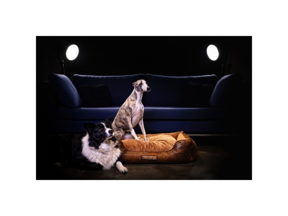 Scobax CROCODOG ORTHOPEDIC PET BED