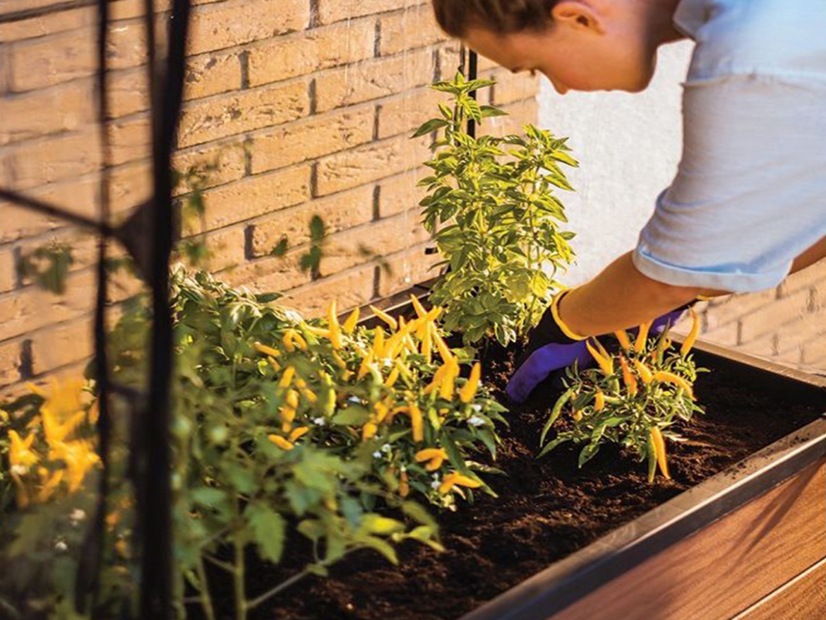 Fóliovník Keter Maple Green House