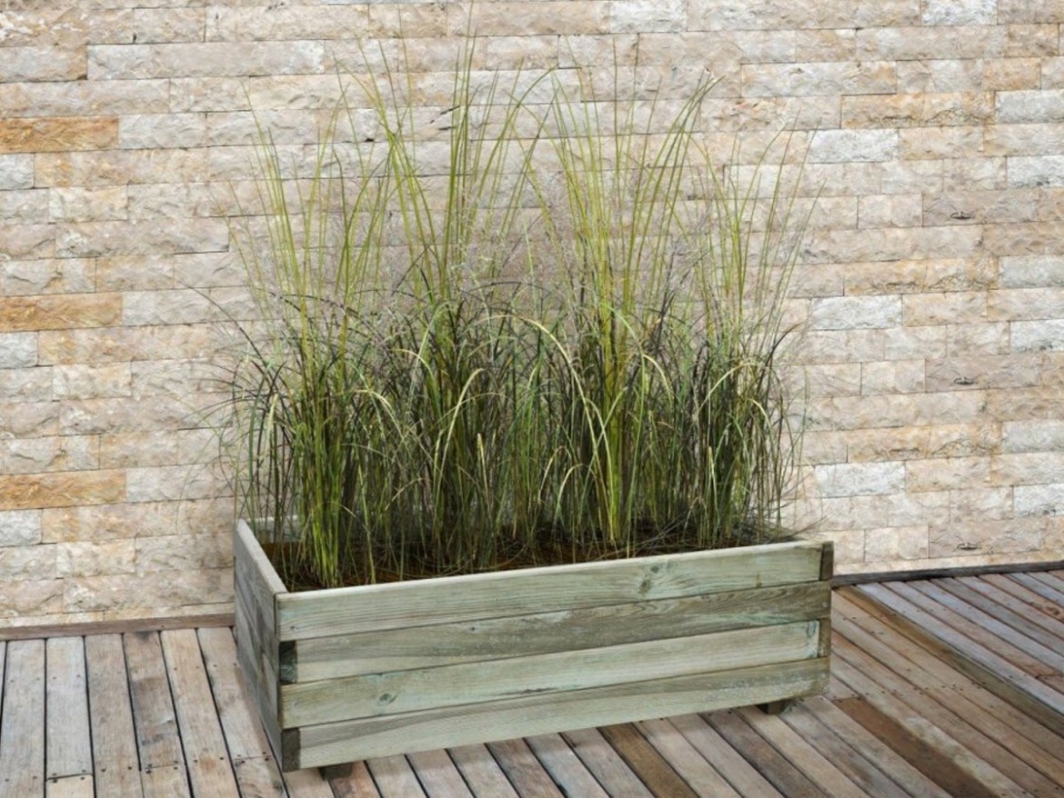 Truhlík Scobax Blok