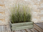 Truhlík Scobax Blok