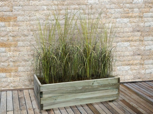 Truhlík Scobax Blok