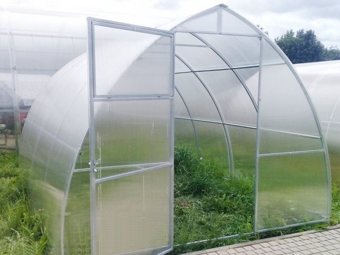 Skleník Scobax Violik