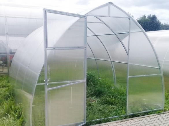 Skleník Scobax Violik