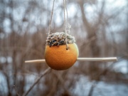 Návod na lojové koule pro ptáky