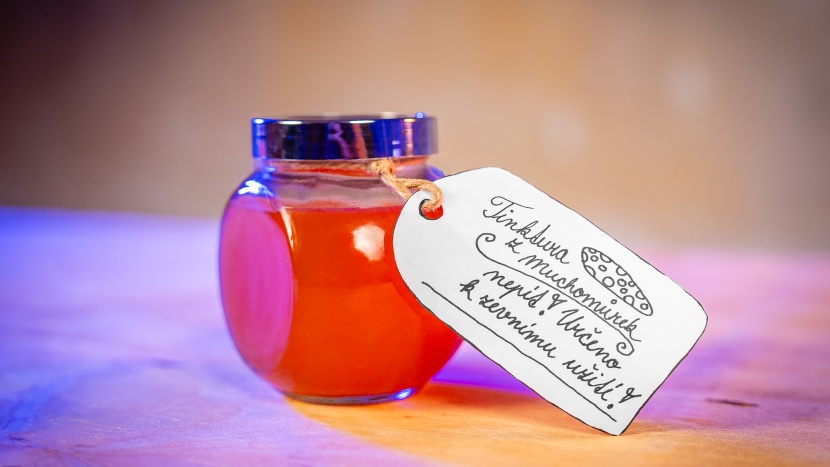 Návod na tinkturu z muchomůrek