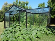 Oranžéria ACD Sophie