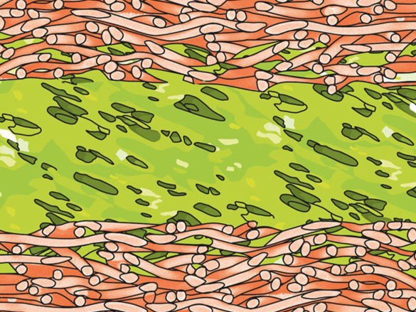 Kontaktná trojvrstvová difúzne otvorená fólia Scobax Metaline DO 150 S