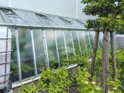 Skleník ke zdi Limes Variant E