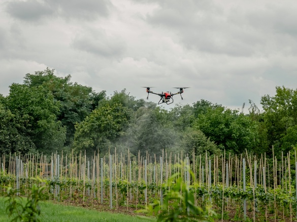 Autonóm üvegházunk egy hortibotanikus napon