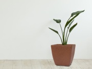 35 x 34 x 35 G21 Květináč Element Cube