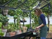 Klasszikus üvegház egy talapzaton Juliana Premium On-wall