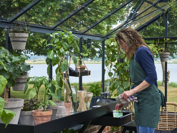 Üvegház Juliana Premium On-wall