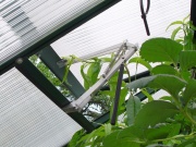 Klasszikus üvegház Juliana Compact