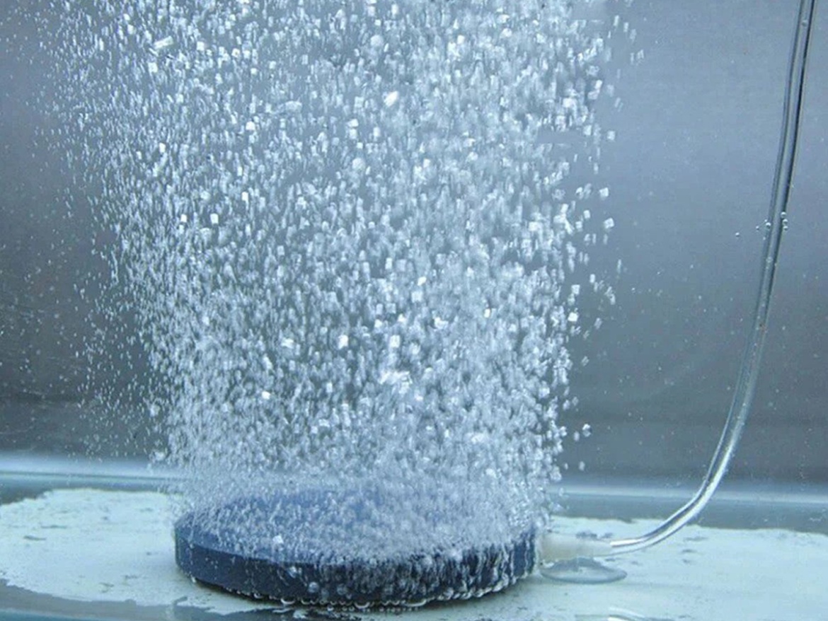 Hydroponické vzduchování Sensorie