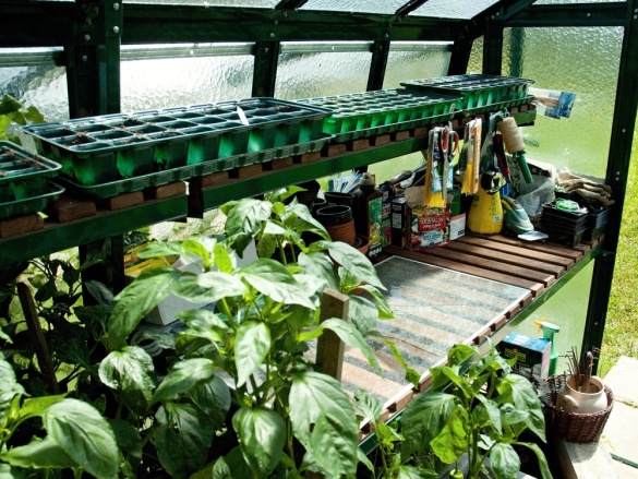 Skleník Limes Primus (prístavba)