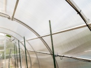 Polikarbonát üvegház Česká Manufaktura Citrus