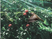 Síť proti ptákům Tenax Ochranná síť ptactvu Ortoflex