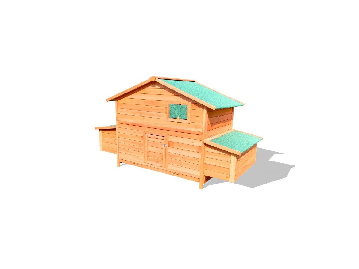 Tyúkól Scobax Duckens