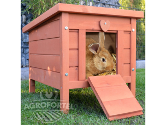 Nyúl –  Scobax Dodo