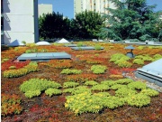 Nopová fólia Gutta fólie Guttabeta T20 Garden