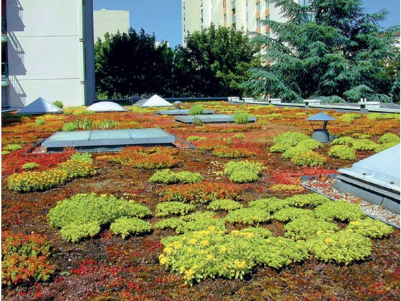 Nopová folie Gutta fólie Guttabeta T20 Garden