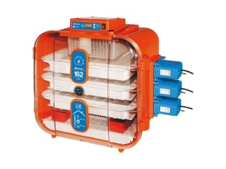 Hydina –  Scobax Líheň COVATUTTO 162 Digitale automatica - automatická líheň pro 162 slepičích vajec