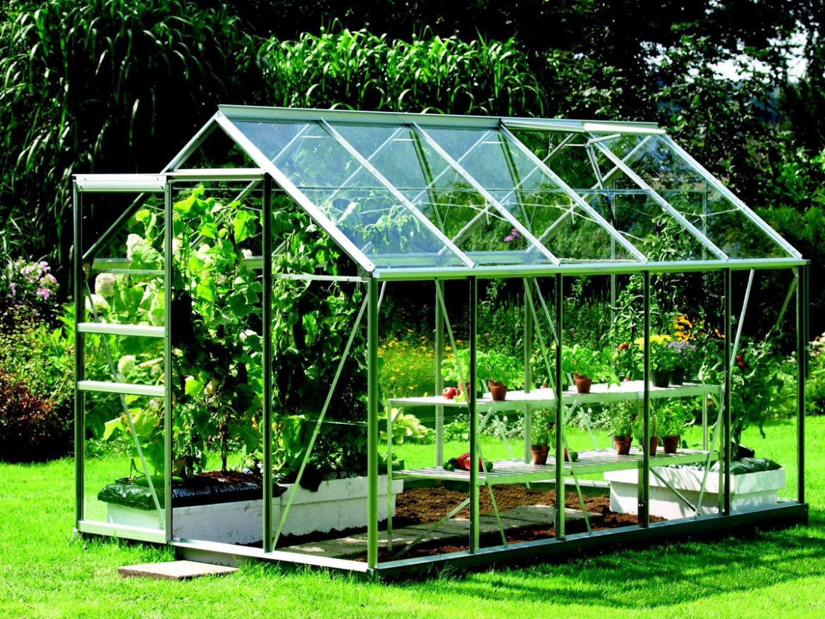 Skleník Vitavia Venus Premium