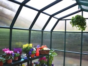 Skleník Scobax Louvre