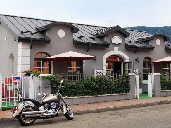 Plechová krytina Bilka Retro Panel