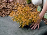 Podkladná tkanina DuPont textilie Plantex