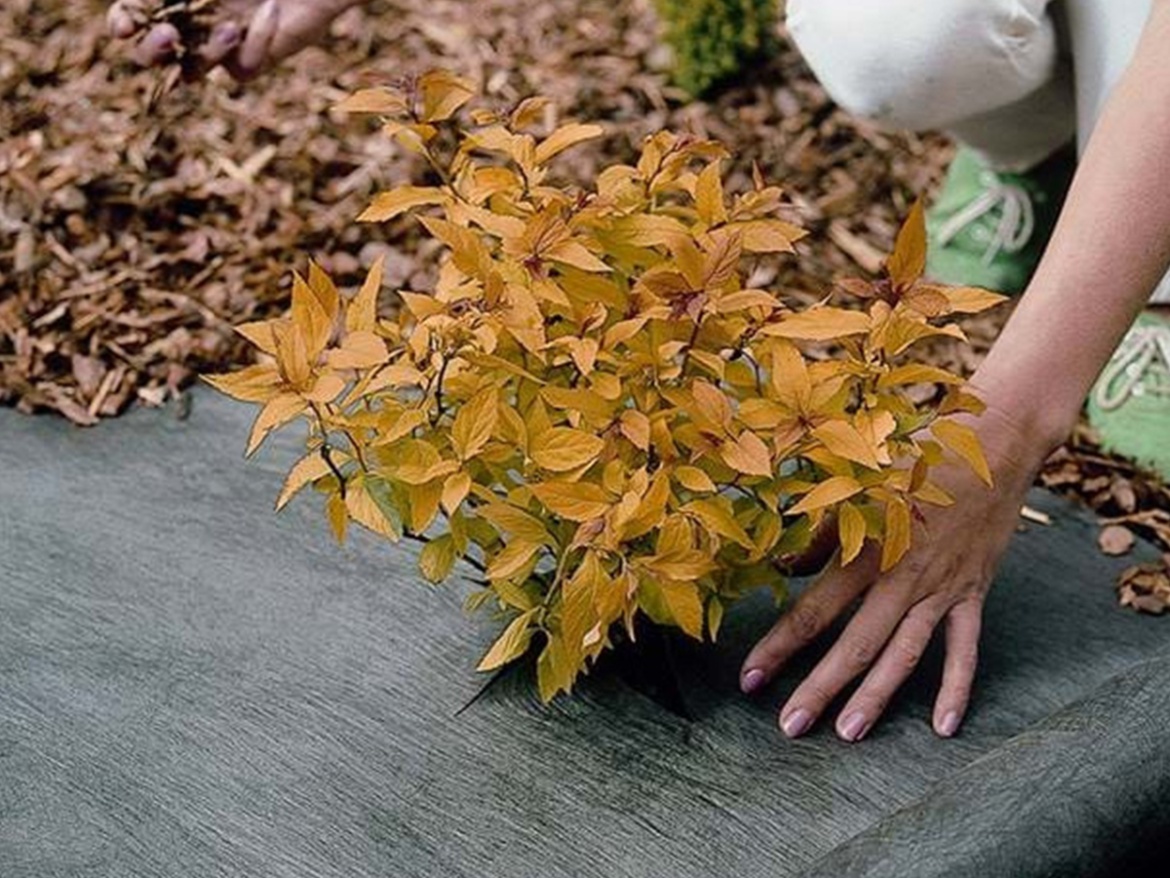 Podkladní tkanina DuPont textilie Plantex
