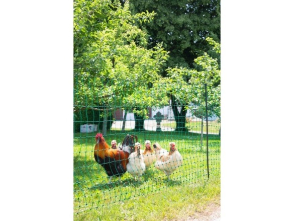 Scobax Síť premium nevodivá pro drůbež 106 cm, 2 hroty, 25 m, zelená