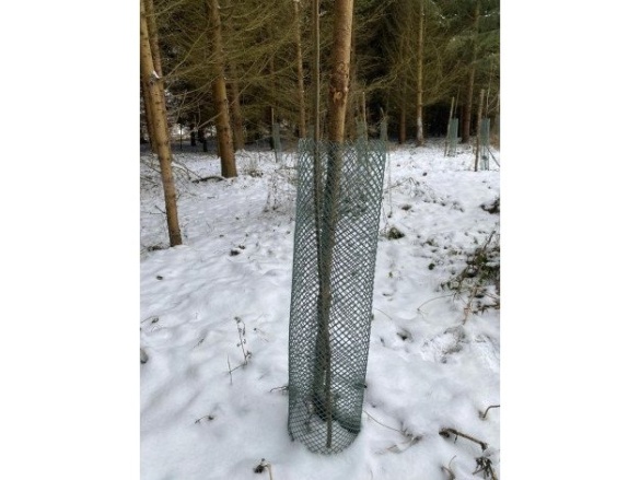 Covernit Plastové pletivo proti okusu stromků