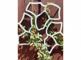 Zahrada – Tessa Flower opora pro rostliny ECOO