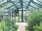 Skleník Limes Variant