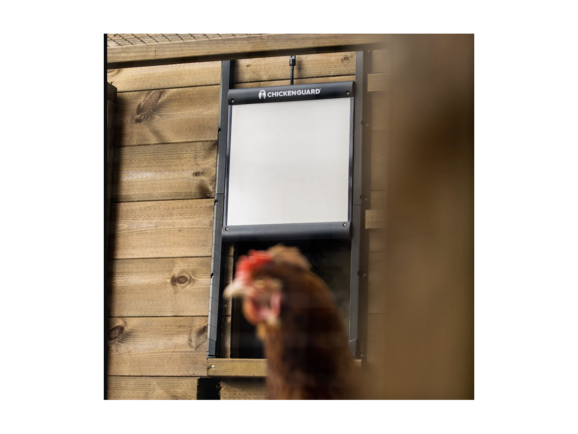 Scobax Bezpečnostní dvířka s pojistkou ke kurníku CHICKEN GUARD DOOR 25x30