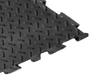 Ihrisko –  Scobax Alfa