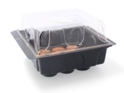 Garden Line Sadbovač / Minipařeniště 12ks rašelinových tablet