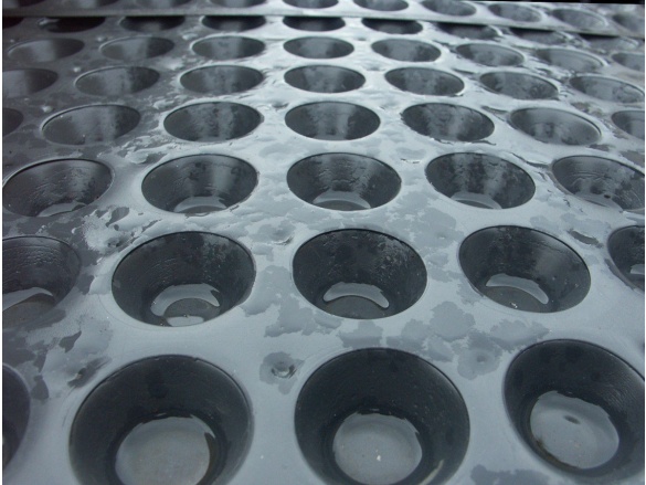 Nopová folie Gutta fólie Guttabeta T20 Garden