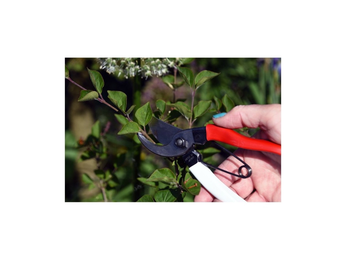 Kerti olló kis kezekhez 101