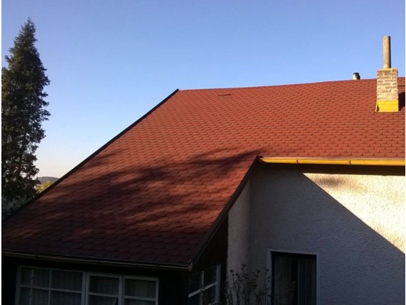 Asfaltový šindel Scobax Bobrovka