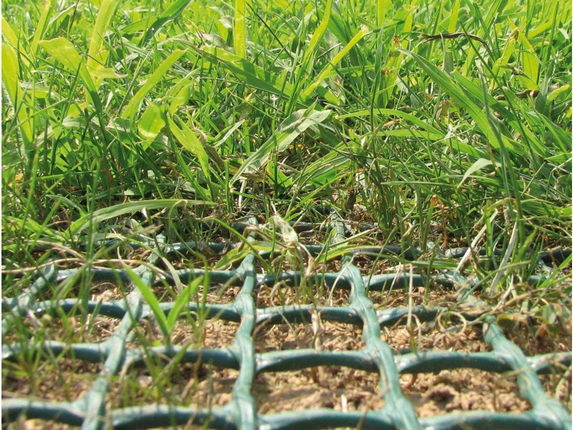 Zatravňovací rohož Tenax TR