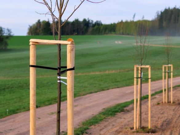 Scobax Vyvazovací kůl Fixtree