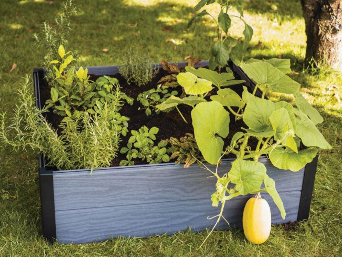 Květináč grafitový vyvýšený Keter Vyvýšený záhon Maple square